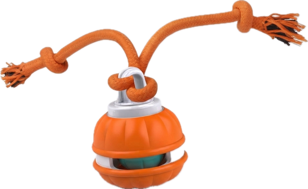 Interactive Dog Ball