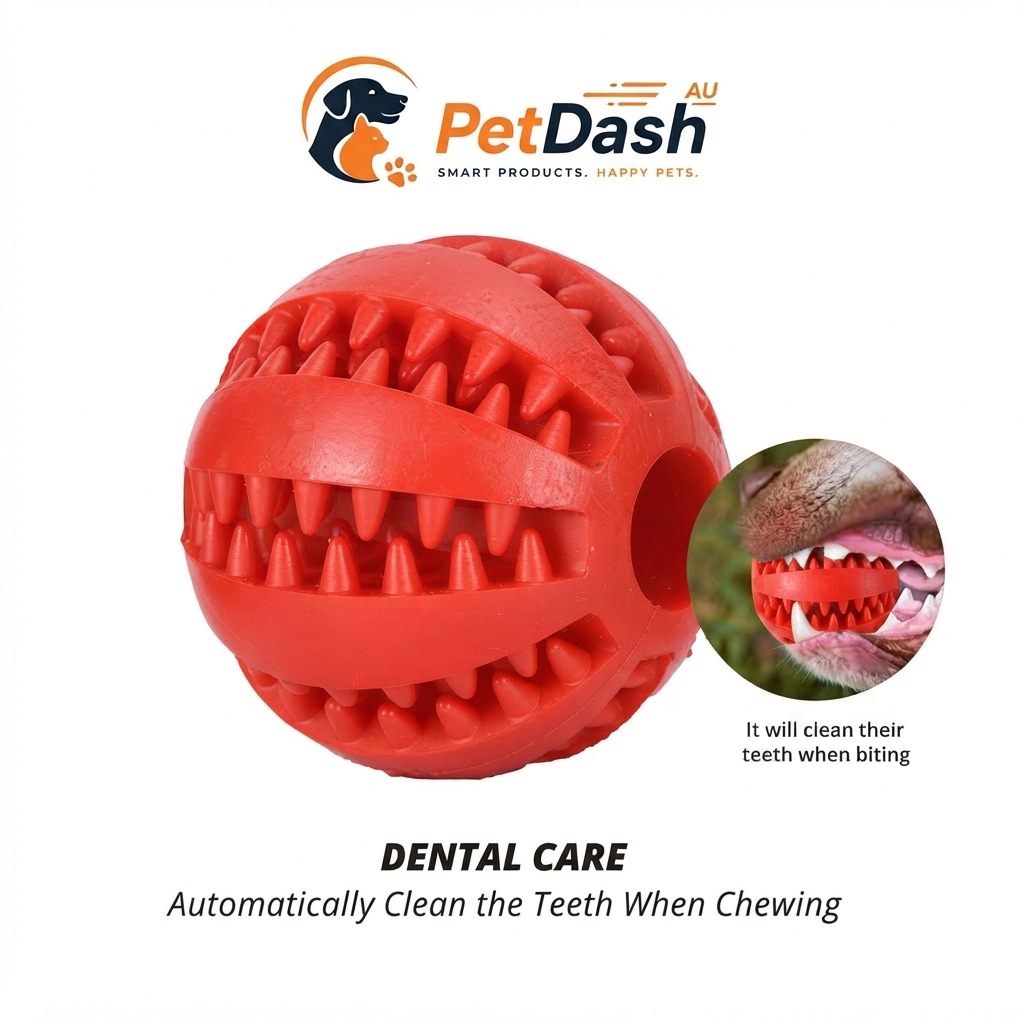 PetDash 2-in-1 Interactive Treat Dispenser Ball