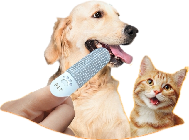 New Pet Product