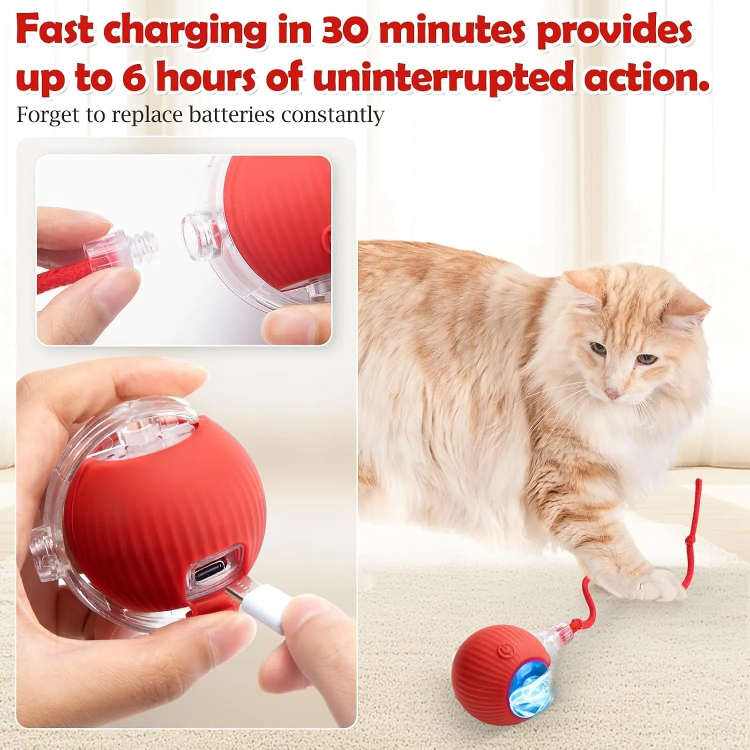 Interactive Cat Toy