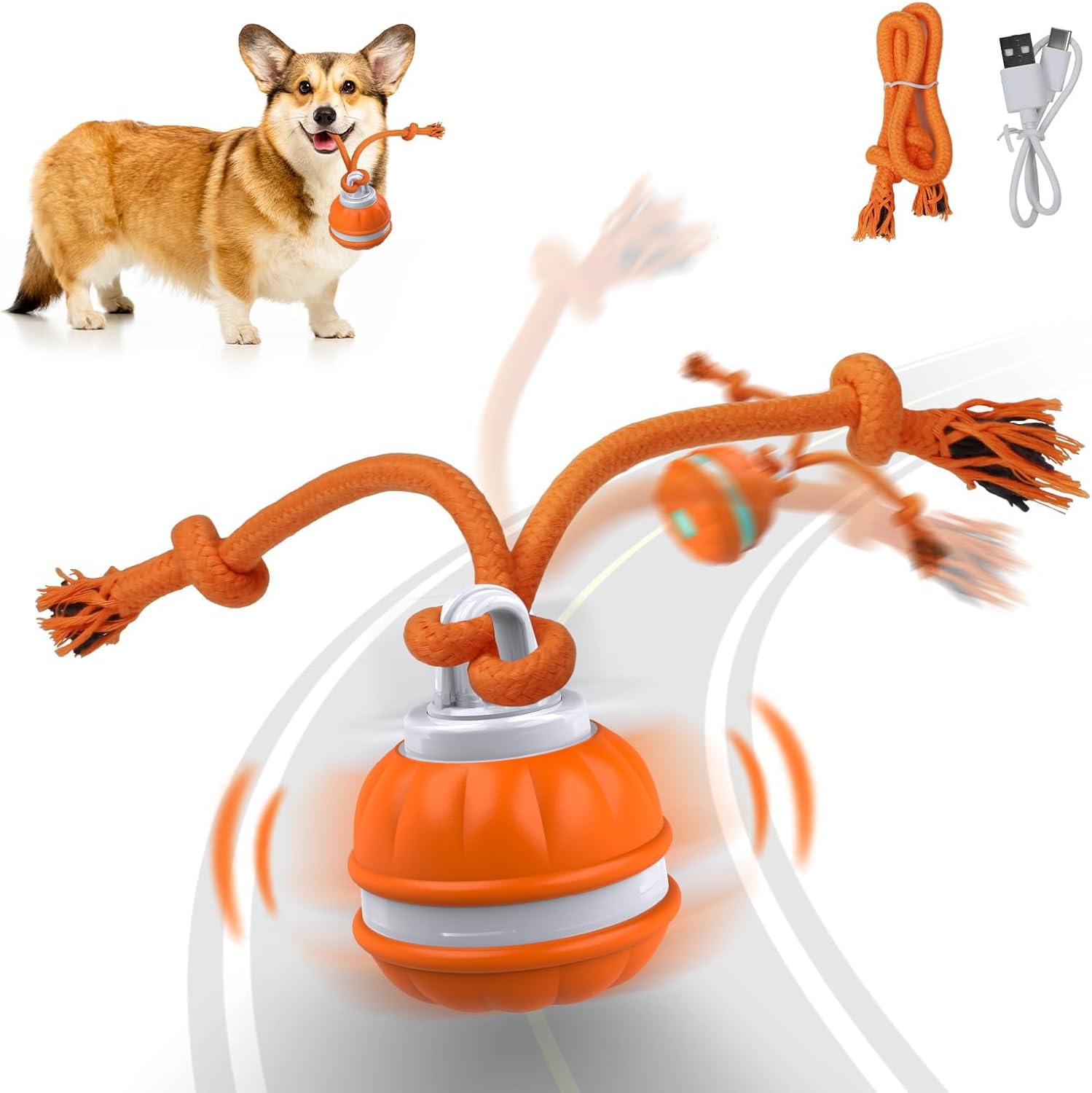 Smart Dog Ball, Swing Rope Tail