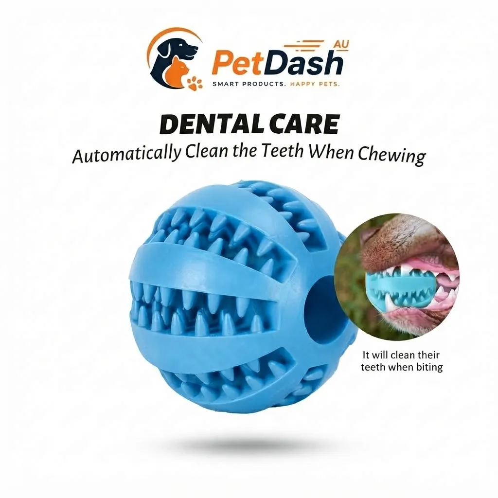 2-in-1 Interactive Treat Dispenser Ball
